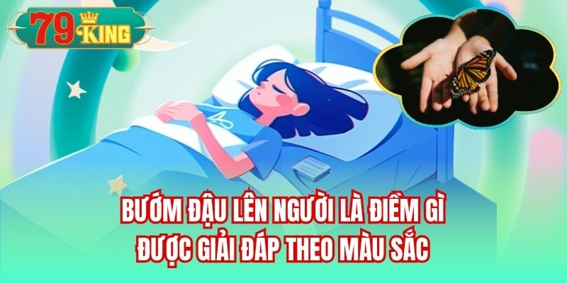 Bướm đậu lên người là điềm gì được giải đáp theo màu sắc
